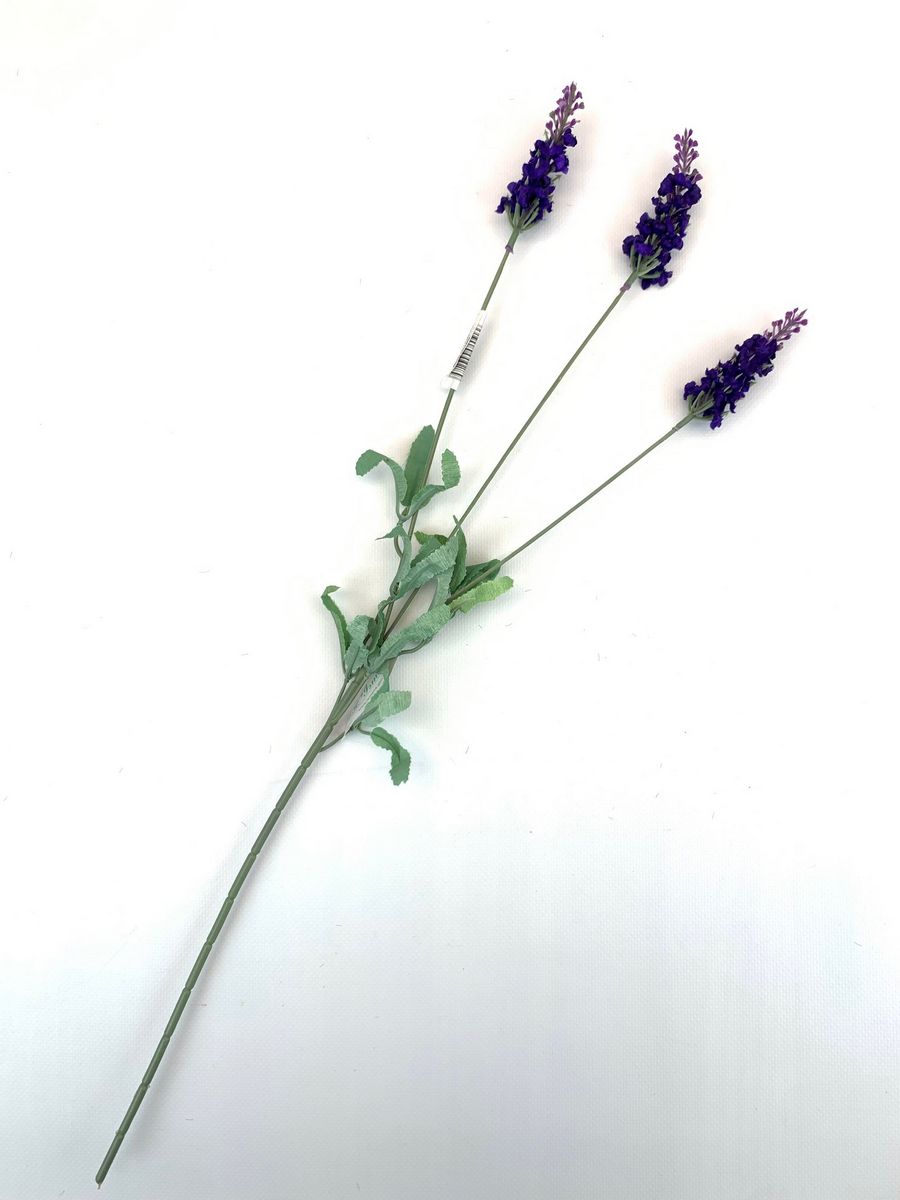 Лаванда 090586  Интернет-магазин Feron Flower 