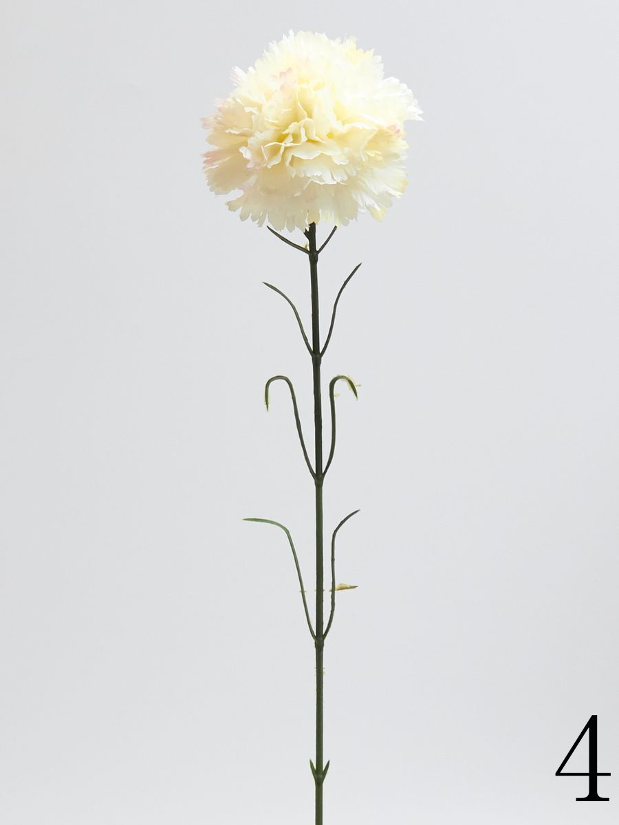 Гвоздика K396  Интернет-магазин Feron Flower 