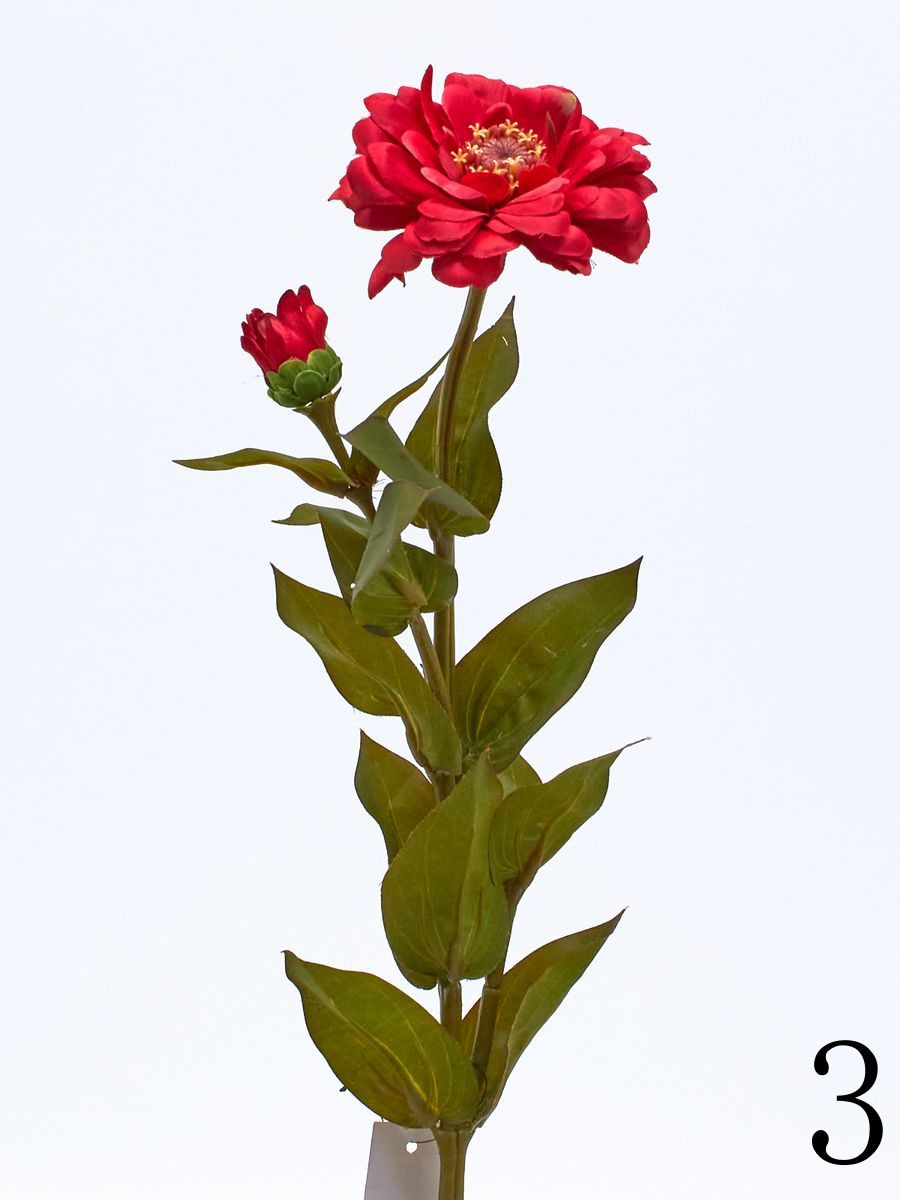 Циния SUN127  Интернет-магазин Feron Flower 