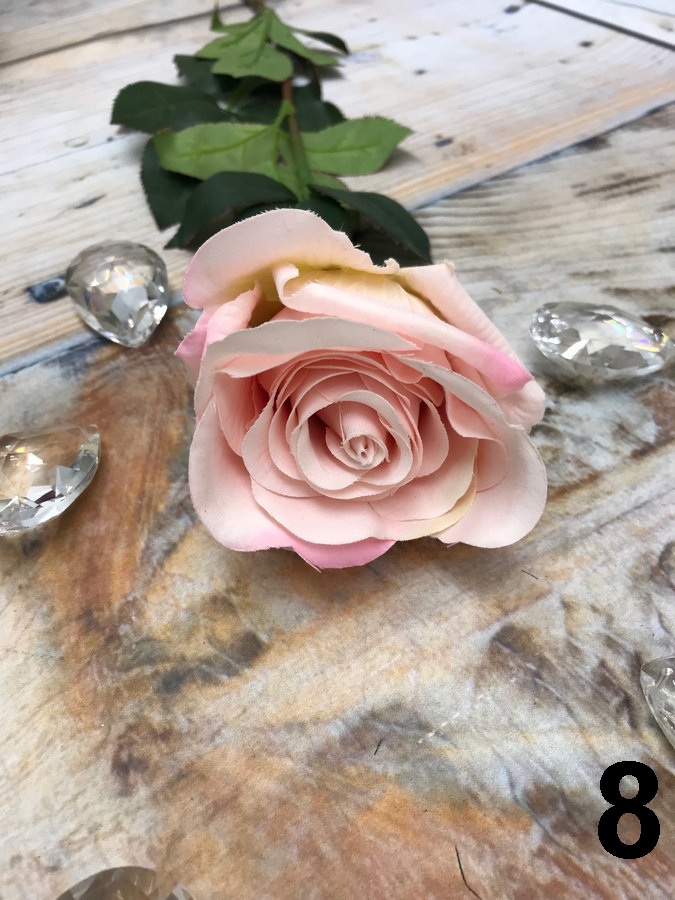 Роза SUN490  Интернет-магазин Feron Flower 