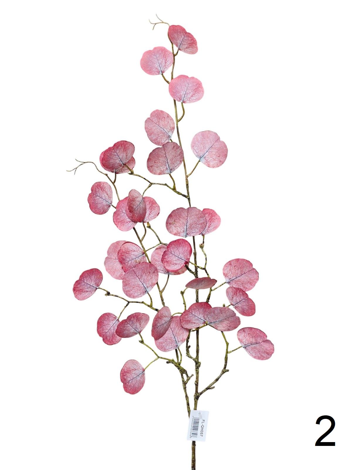 Эвкалипт FL-QH057  Интернет-магазин Feron Flower 