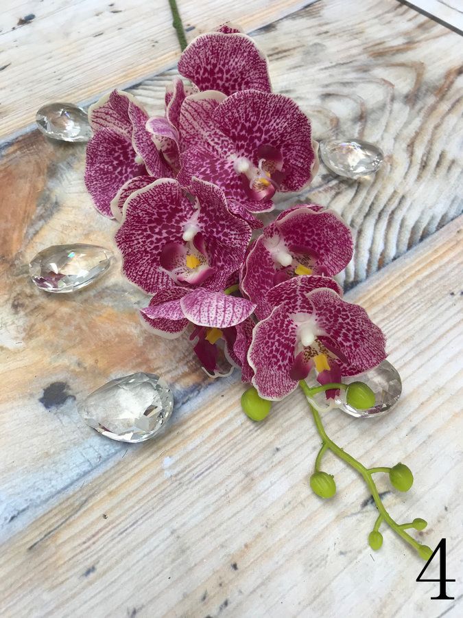 Орхидея латекс KLM1002  Интернет-магазин Feron Flower 