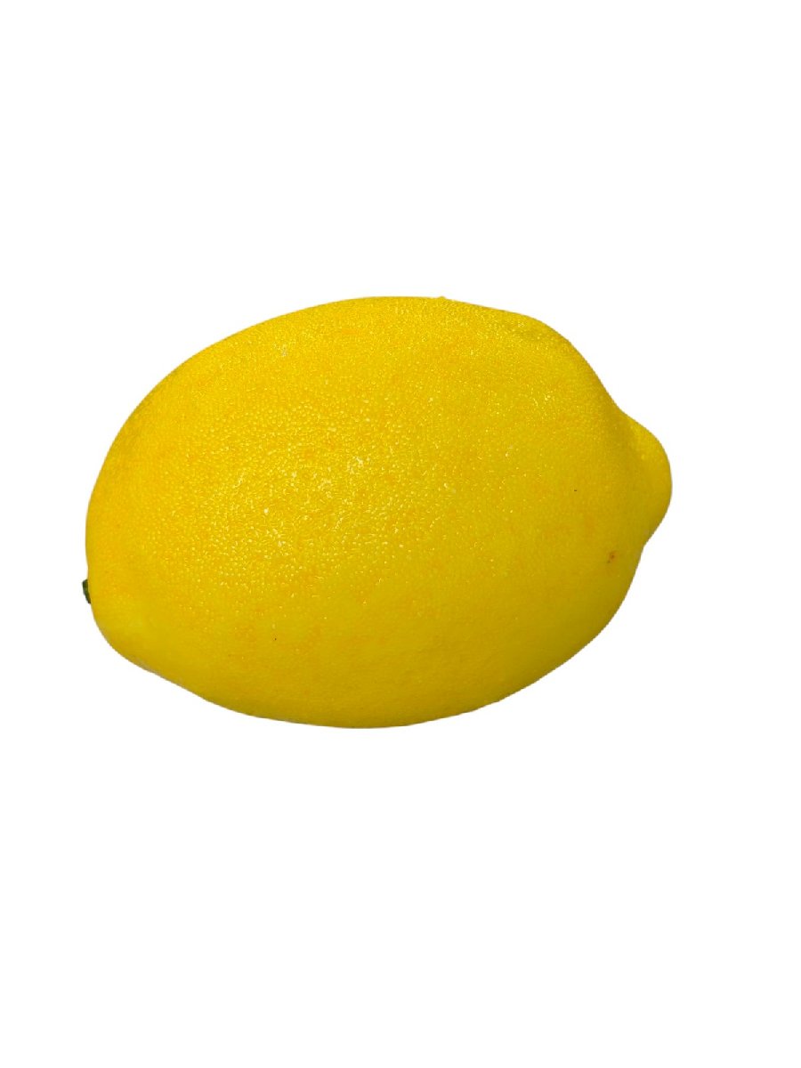 Лимон 0183-1309  Интернет-магазин Feron Flower 