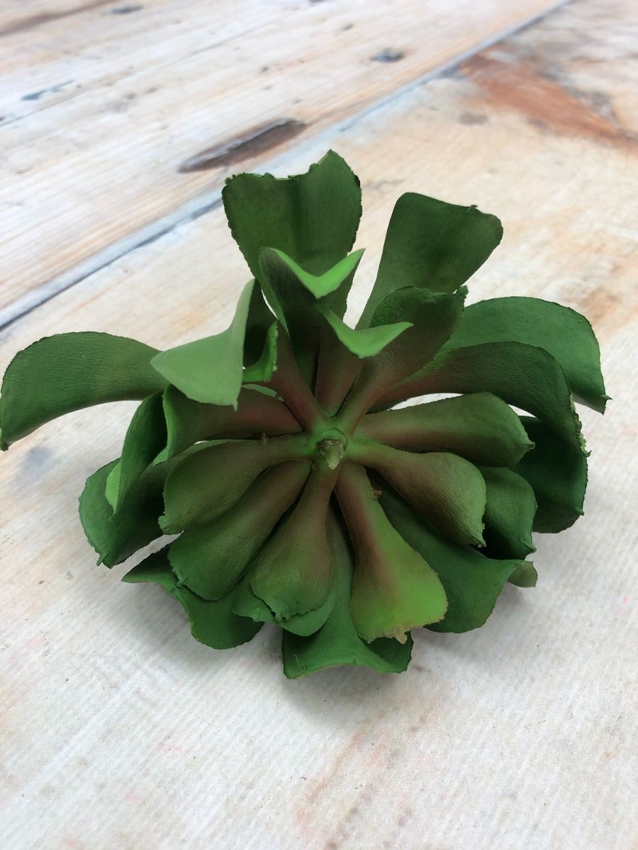 Суккулент 9KL6389  Интернет-магазин Feron Flower 