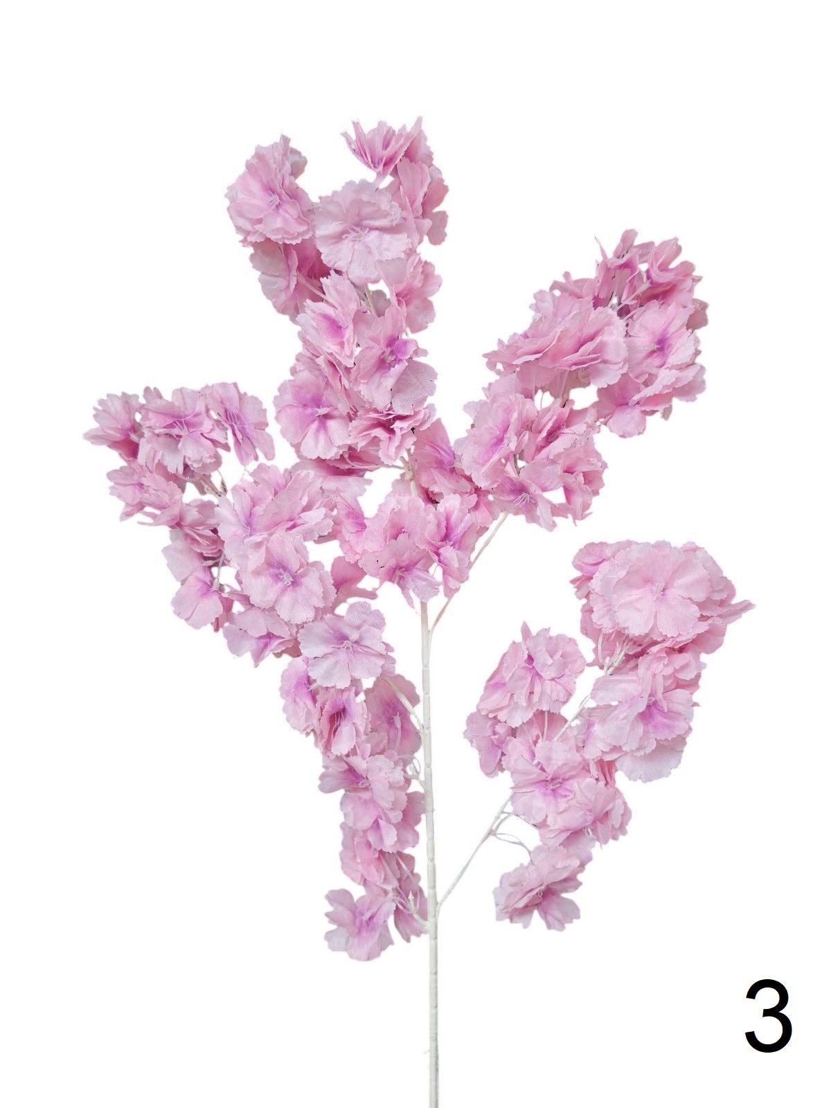 Яблонь 132219  Интернет-магазин Feron Flower 