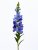 Дельфиниум SUN625  Интернет-магазин Feron Flower 