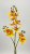 Орхидея FL-QH060  Интернет-магазин Feron Flower 
