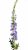 Дельфиниум MR2351-005  Интернет-магазин Feron Flower 