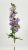 Дельфиниум MR2351-008  Интернет-магазин Feron Flower 