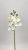 Орхидея YG009  Интернет-магазин Feron Flower 