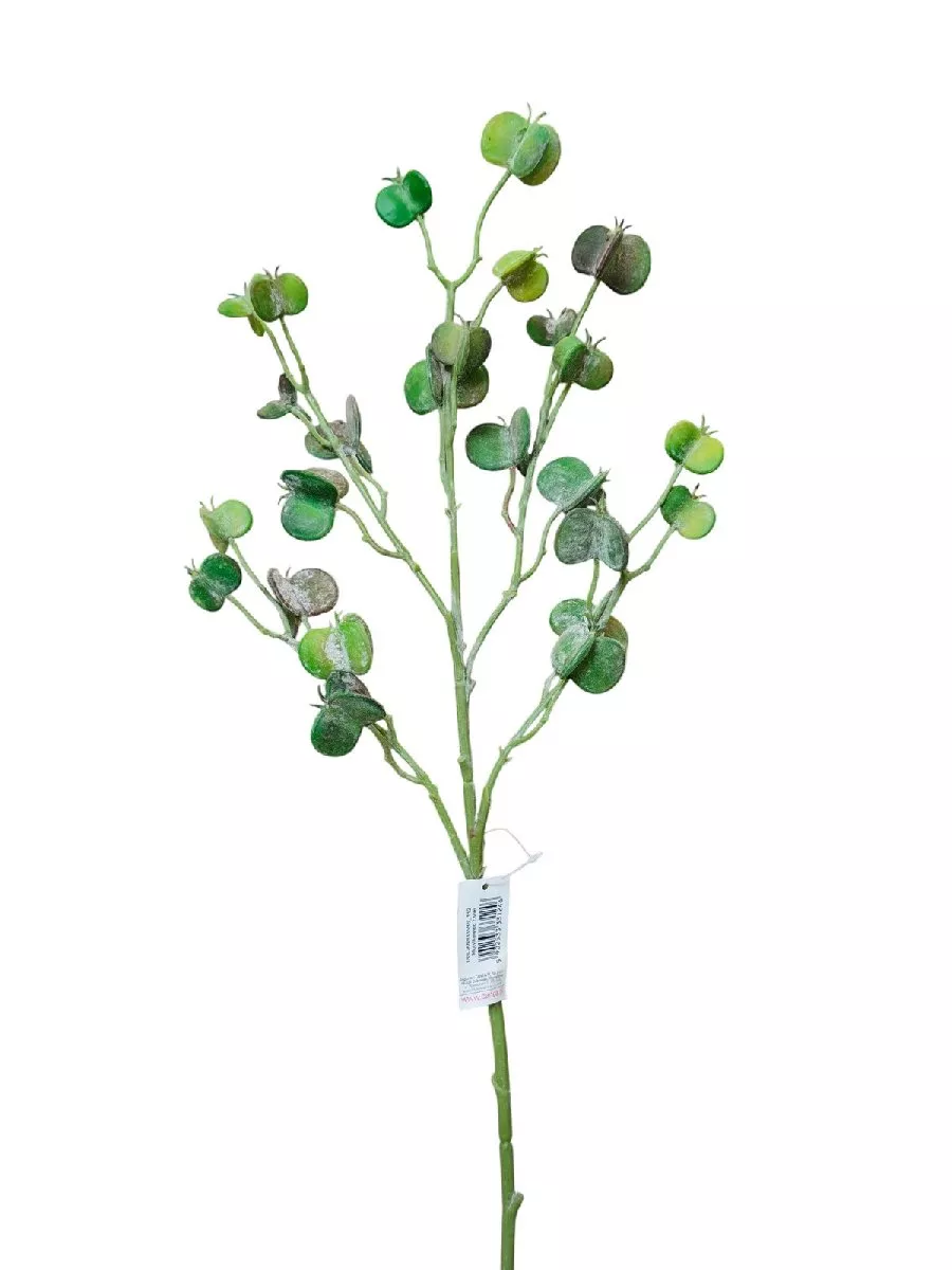 Эвкалипт 188CAN9335BS  Интернет-магазин Feron Flower 