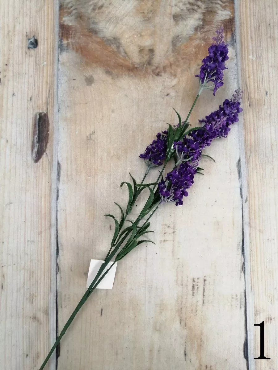 Лаванда K03785  Интернет-магазин Feron Flower 