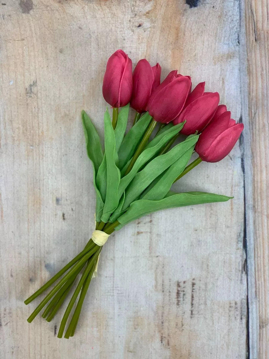 Тюльпан 81CAN056  Интернет-магазин Feron Flower 