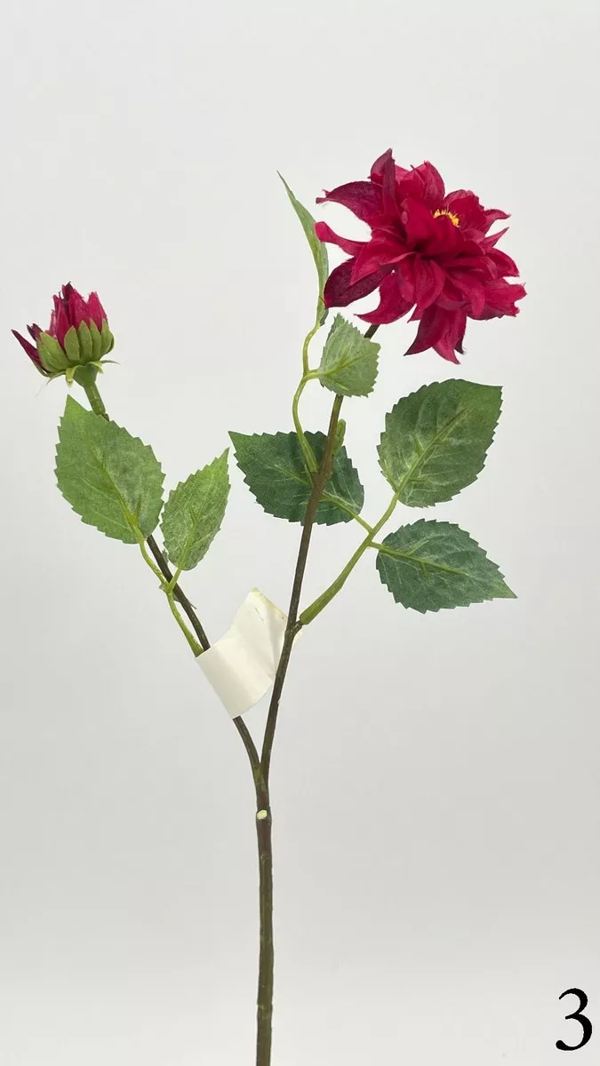 Далия 542345  Интернет-магазин Feron Flower 