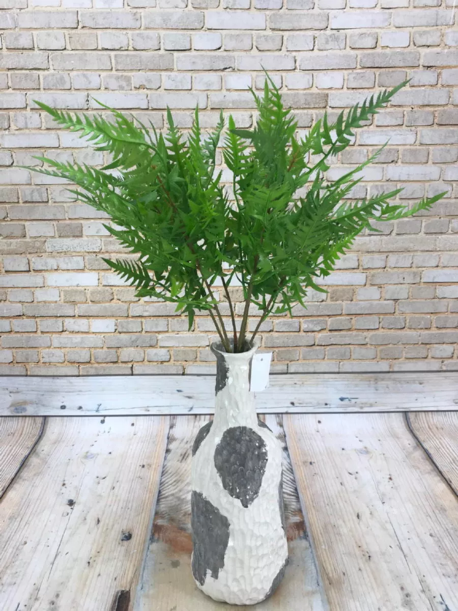 Папоротник AA017  Интернет-магазин Feron Flower 