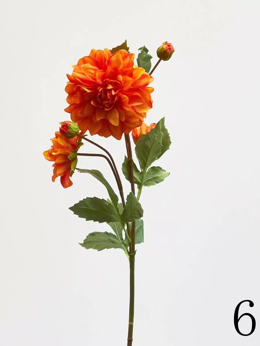 Далия HR7409  Интернет-магазин Feron Flower 