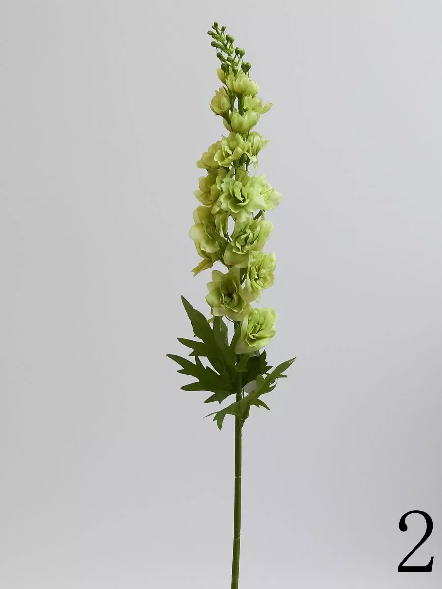 Дельфиниум SUN498  Интернет-магазин Feron Flower 