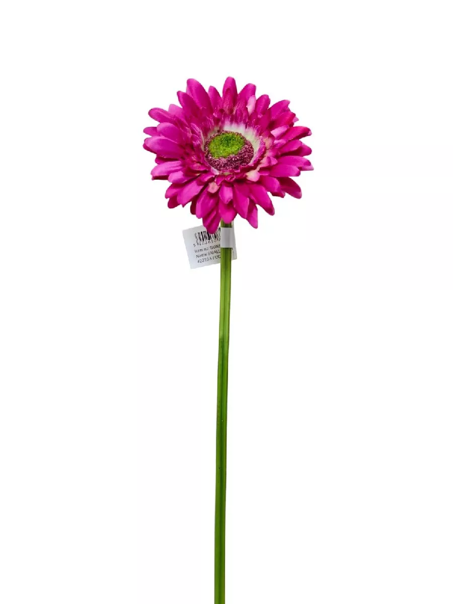 Гербера SUN529  Интернет-магазин Feron Flower 