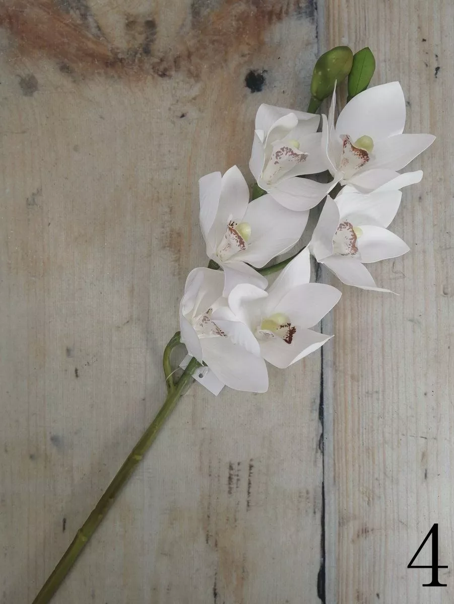 Орхидея GL03348  Интернет-магазин Feron Flower 