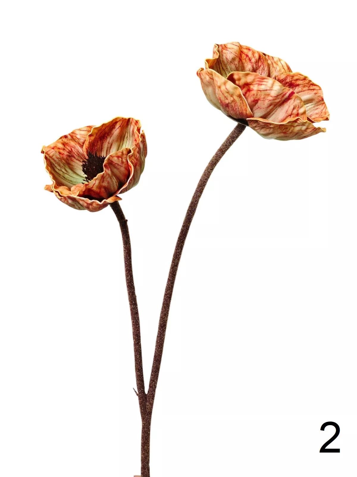 Анемон 9144-1397  Интернет-магазин Feron Flower 