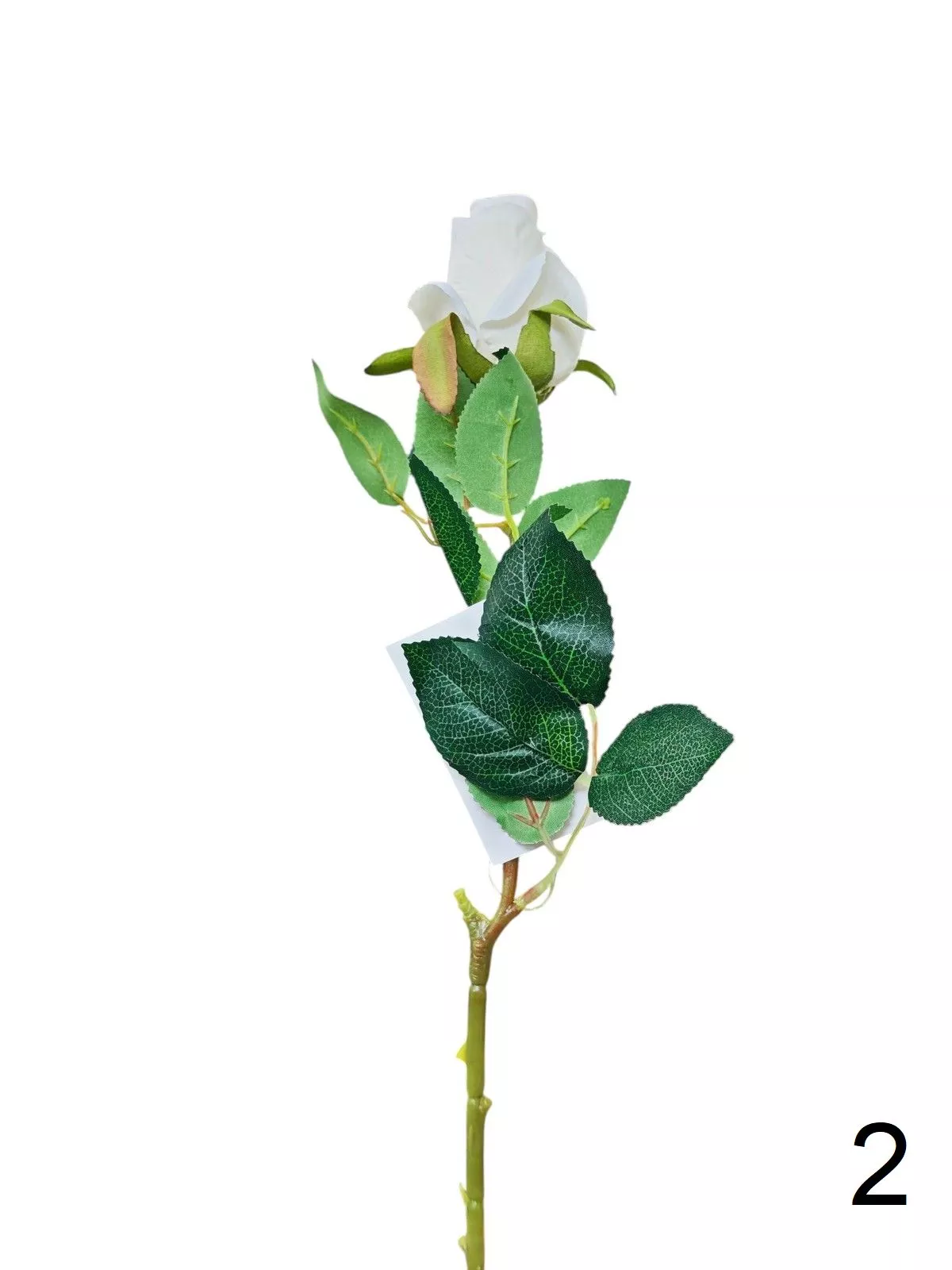 Роза K343  Интернет-магазин Feron Flower 