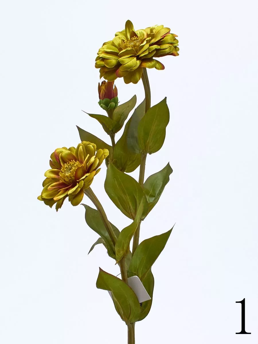 Циния SUN127  Интернет-магазин Feron Flower 