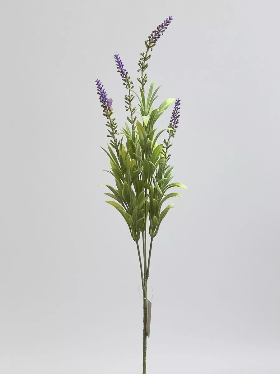 Лаванда TIK065  Интернет-магазин Feron Flower 