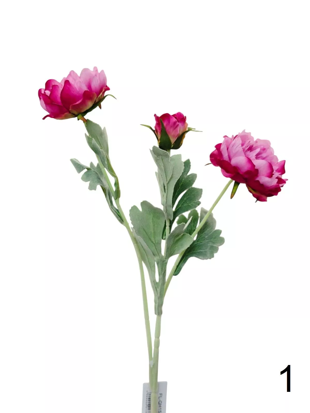 Пион FL-QH157  Интернет-магазин Feron Flower 