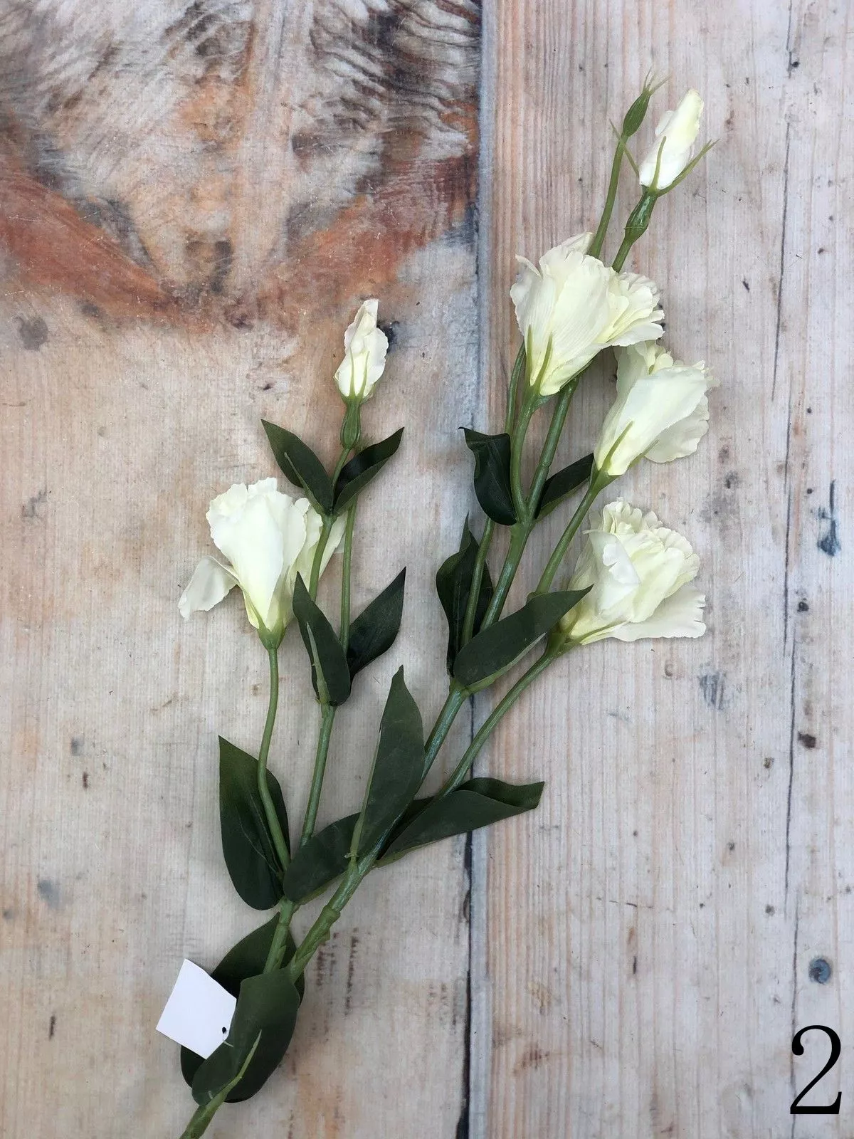 Эустома K03777  Интернет-магазин Feron Flower 