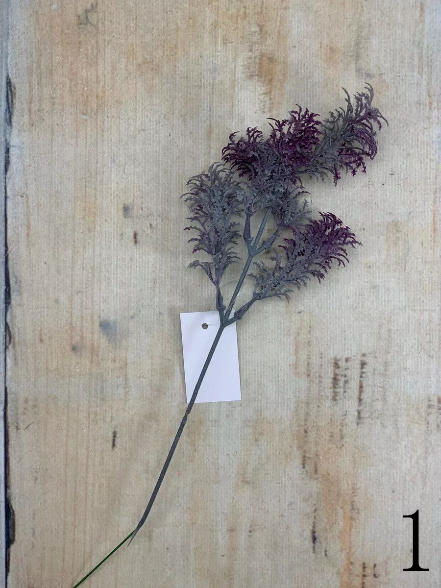 Эвкалипт TIK044  Интернет-магазин Feron Flower 