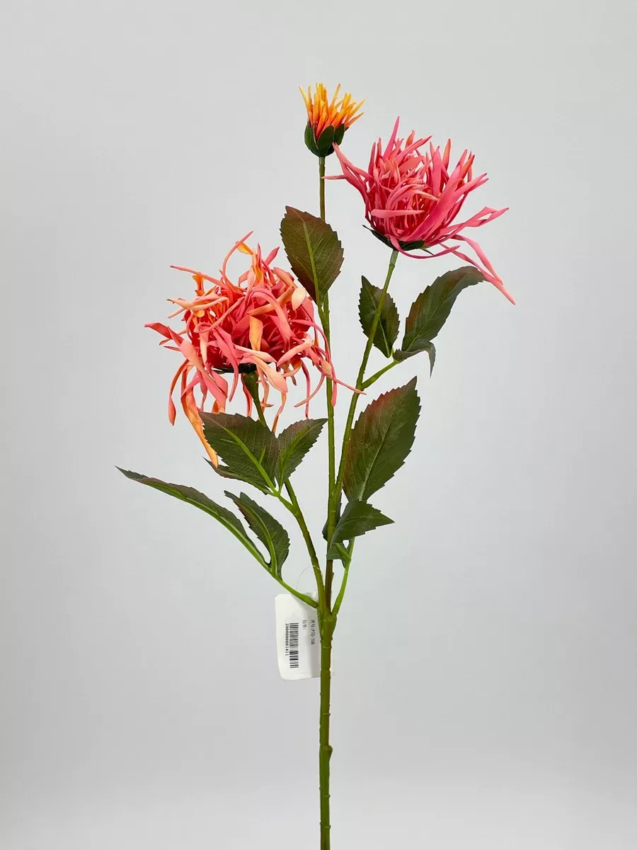 Хризантема PIO-108  Интернет-магазин Feron Flower 