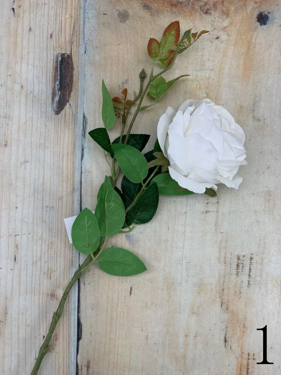 Роза ART221  Интернет-магазин Feron Flower 