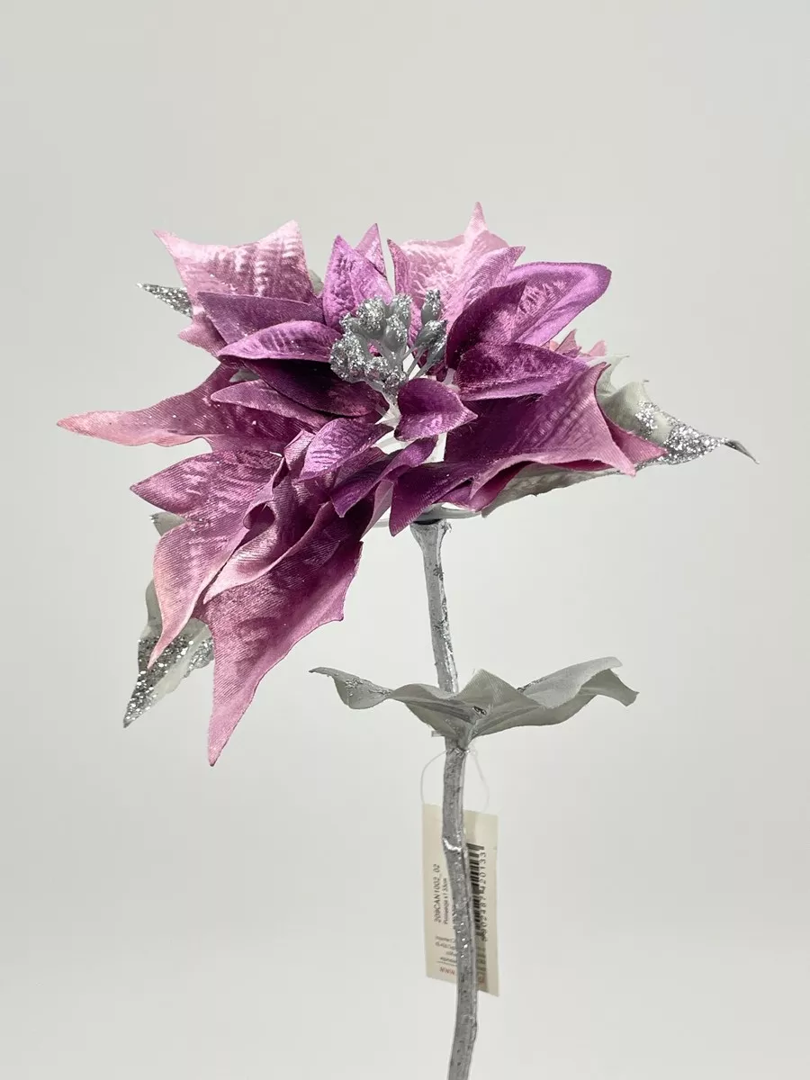 Пуансетия 209CAN1002  Интернет-магазин Feron Flower 