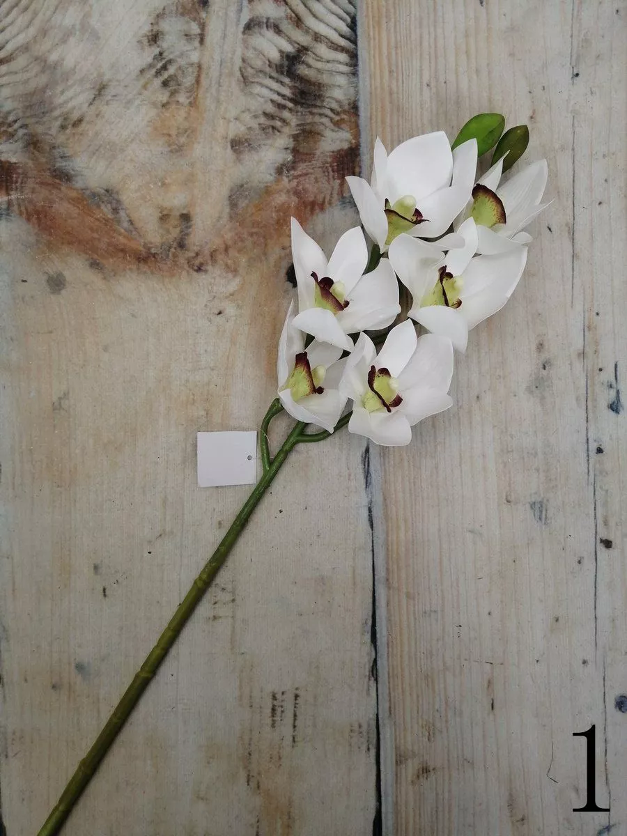 Орхидея GL03348  Интернет-магазин Feron Flower 