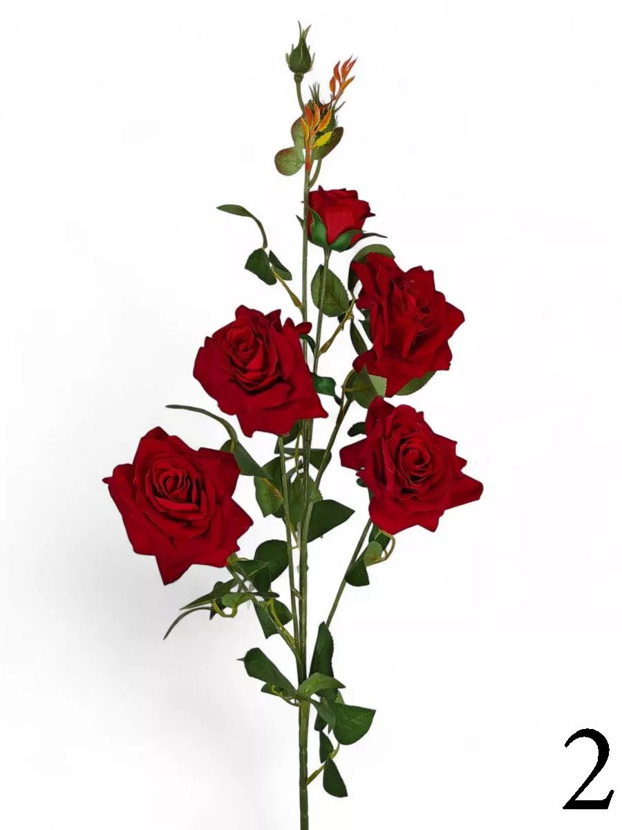 Роза FL-QH133  Интернет-магазин Feron Flower 