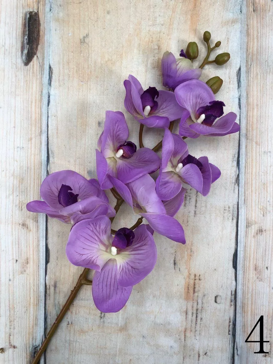 Орхидея JX012  Интернет-магазин Feron Flower 