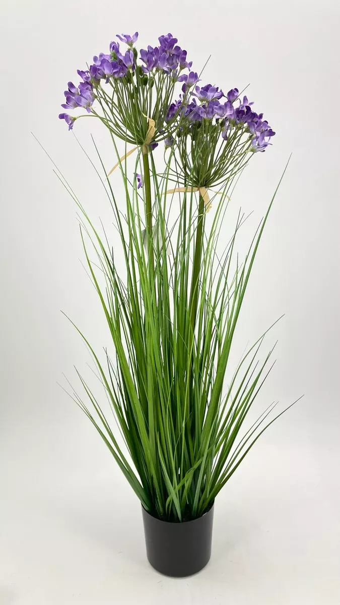 Осока в горшке 6253-PR-DBG  Интернет-магазин Feron Flower 