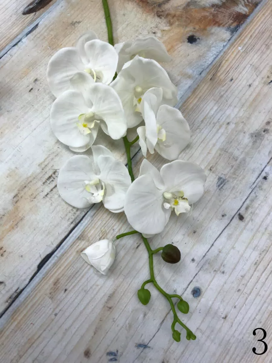Орхидея латекс ZL010  Интернет-магазин Feron Flower 