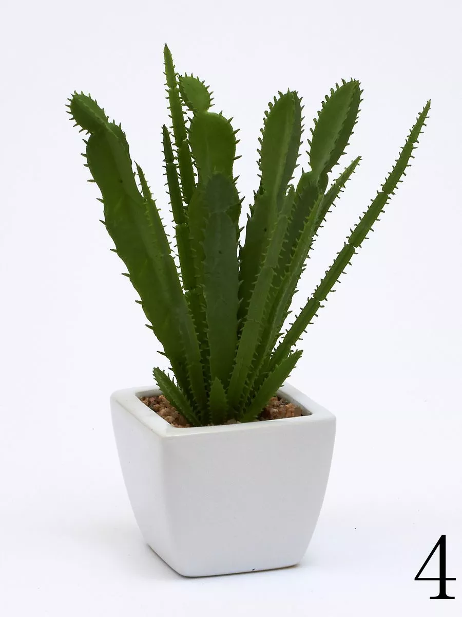 Суккулент ART17769  Интернет-магазин Feron Flower 