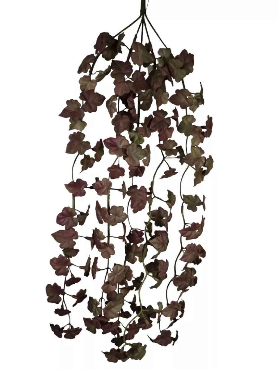 Плющ LM2009  Интернет-магазин Feron Flower 