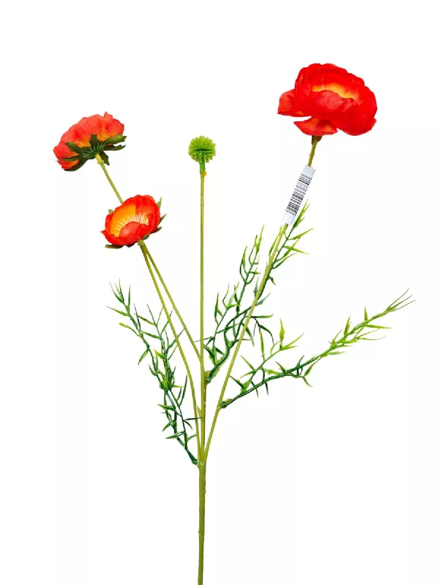 Мак 9KW8283  Интернет-магазин Feron Flower 