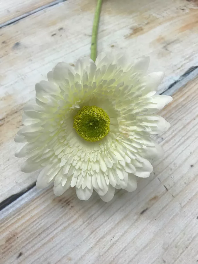 Гербера K3770  Интернет-магазин Feron Flower 