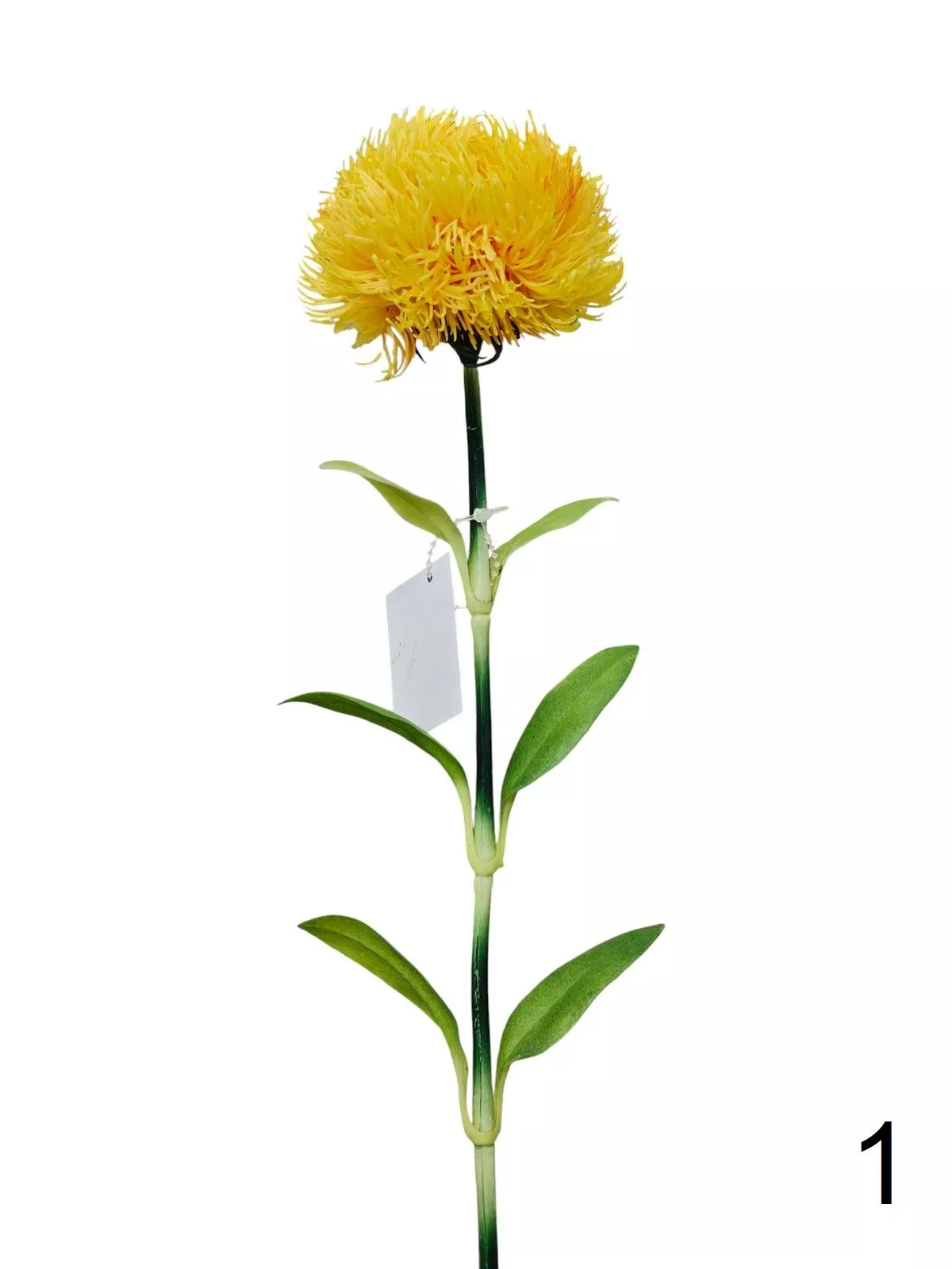 Леукоспермум K03957  Интернет-магазин Feron Flower 