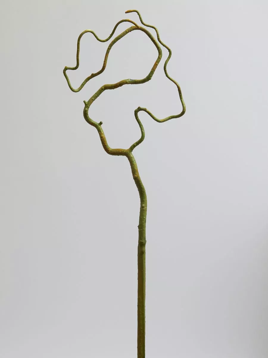 Корень ветка DK032  Интернет-магазин Feron Flower 