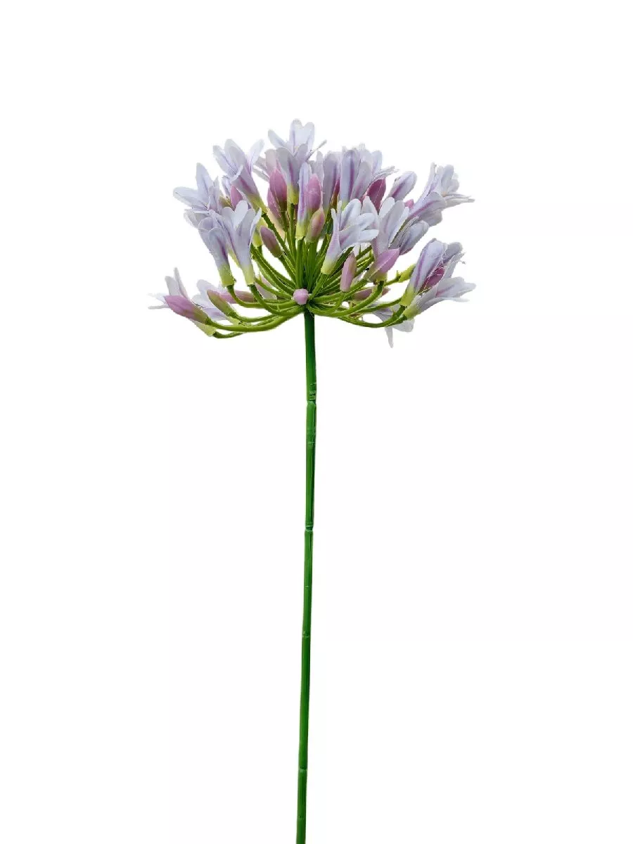 Лук REN-225 фиолетовый   Интернет-магазин Feron Flower 