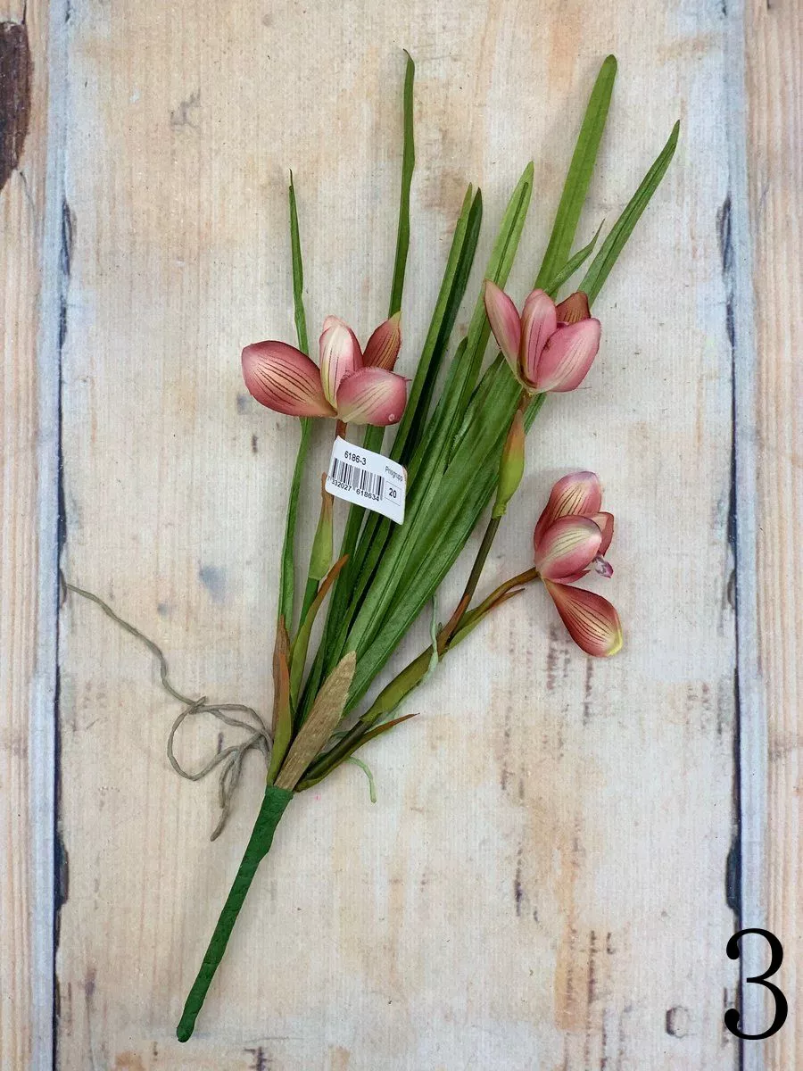 Орхидея 6186  Интернет-магазин Feron Flower 