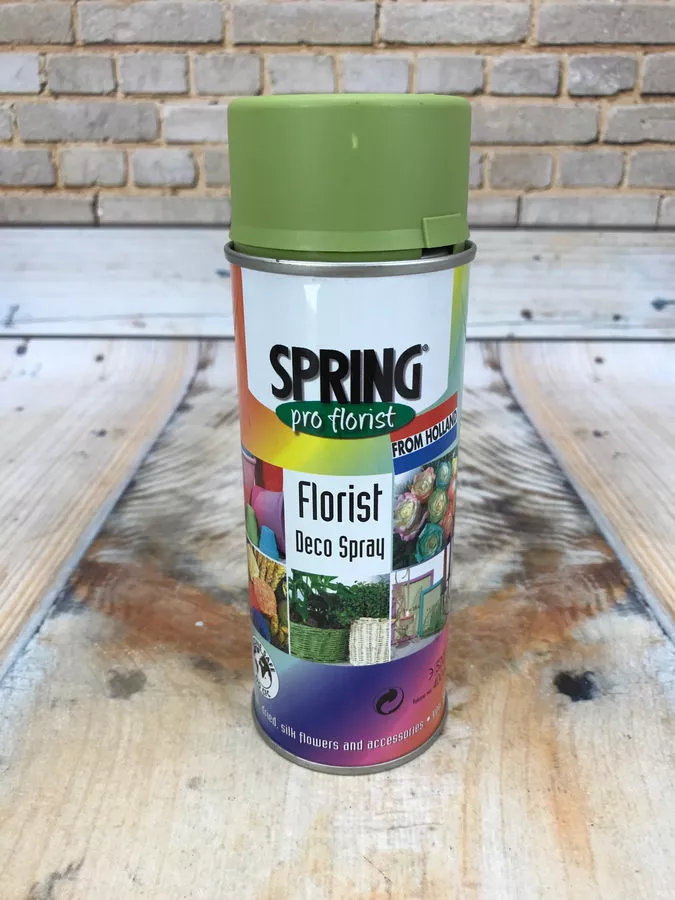 Краска 400ml 018 болото  Интернет-магазин Feron Flower 