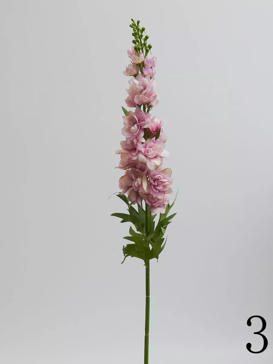 Дельфиниум SUN498  Интернет-магазин Feron Flower 
