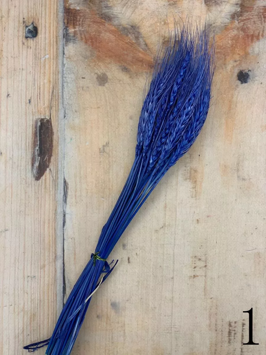 Пшеница 30 веток  Интернет-магазин Feron Flower 