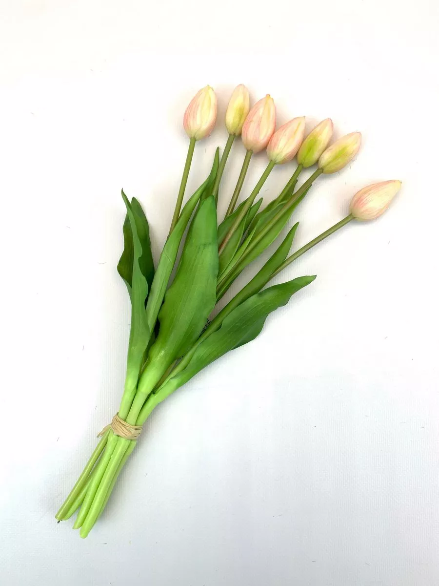 Тюльпан BU04044  Интернет-магазин Feron Flower 